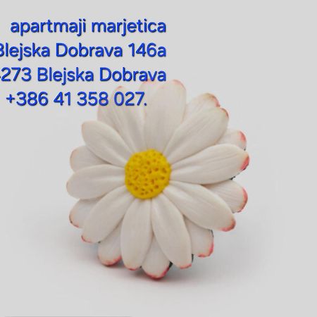 Apartma Marjetica Blejska Dobrava Ngoại thất bức ảnh