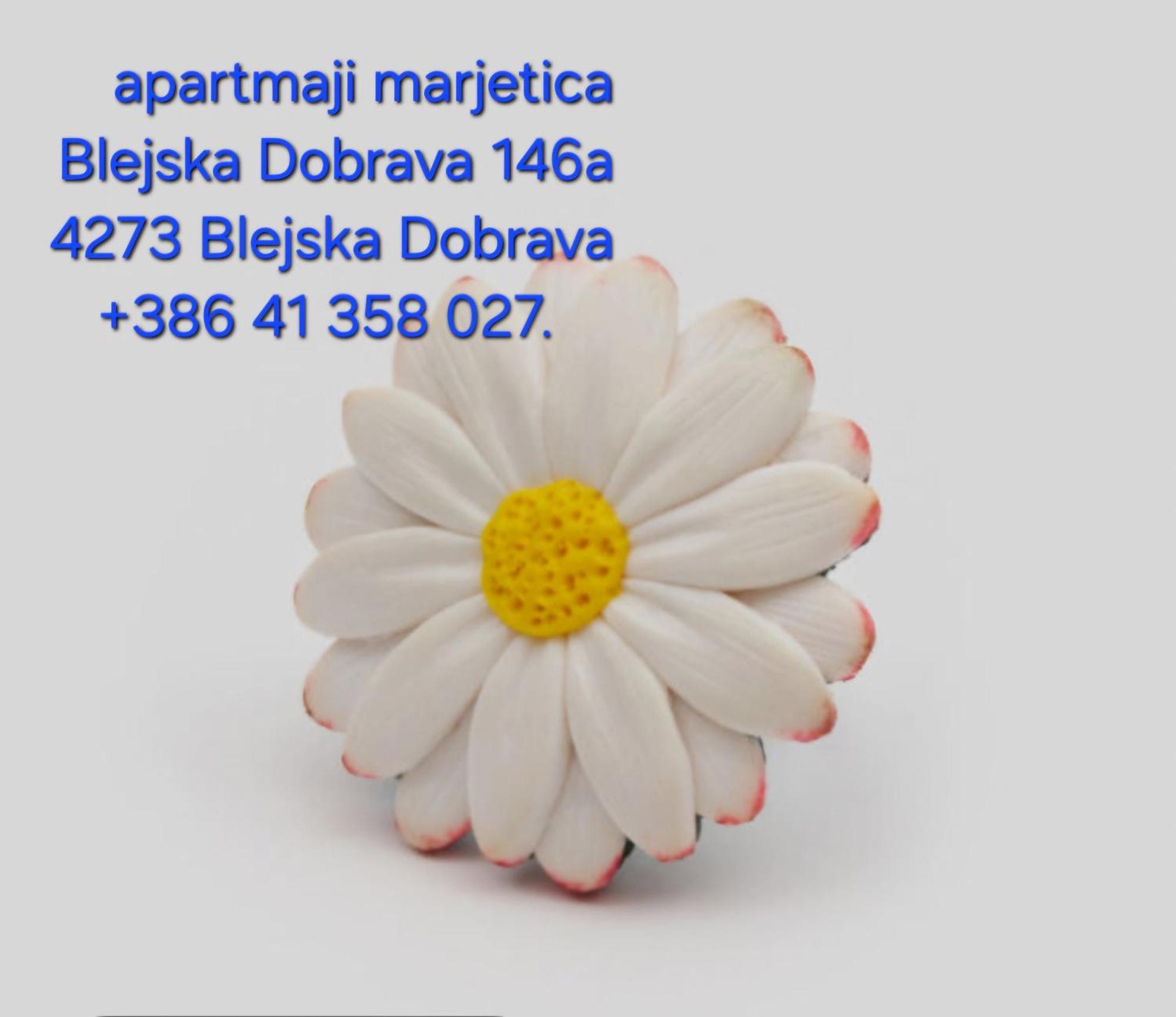 Apartma Marjetica Blejska Dobrava Ngoại thất bức ảnh